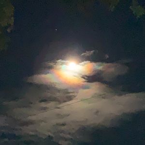 Not for sale/ but send me an offer